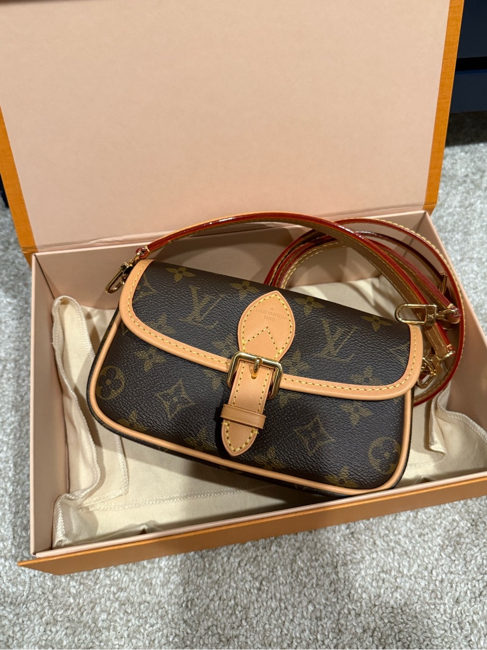 Louis Vuitton Nano Diane